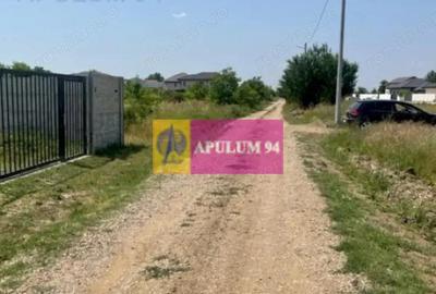 Teren de 1000 mp, în Domnești