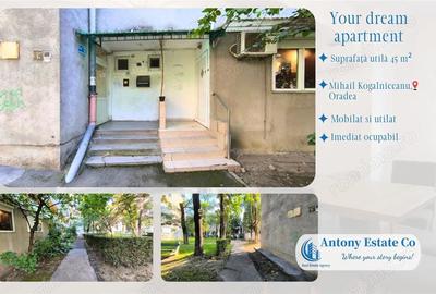 Apartament cu 2 camere nedecomandat în Central - 10