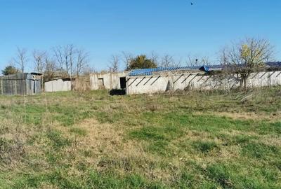 Casă cu 3 camere cu Teren 7000 Mp în Țepeș Vodă - 1