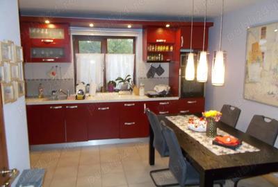 Duplex, Dumbravita, aproape de centru, P+M, 4cam, 142mp util, 379mp teren - 17