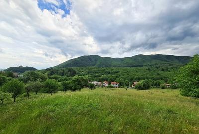Parcele Teren cu PUZ si toate utilitatile / Cisnadioara-Sibiu - 8