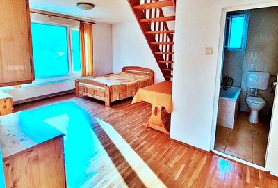 Direct proprietar - Proprietate Unica Buftea - 31