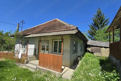 Casa de vanzare (ZONA ULMENI) - 2
