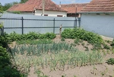 Vand casa in Deta jude?ul timis - 4