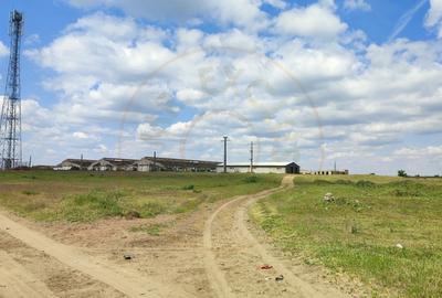 De Vanzare Ferma Piscolt Teren 64.000 mp- Piscolt SM - Comision 0% cumparator - 4