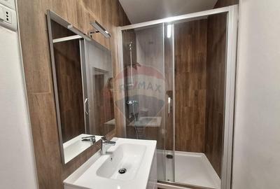 Apartament cu 1 camera de inchiriat pe str. N Balcescu - 2
