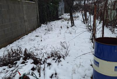 Timisoara-Fratelia,casa de vanzare - 5