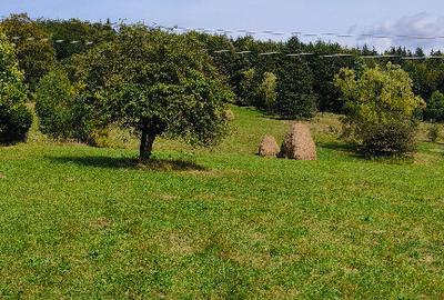 Teren intravilan situat in Traisteni - 7