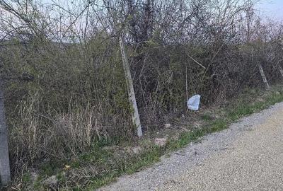 Teren de 1000 mp, în Dealuri Oradea