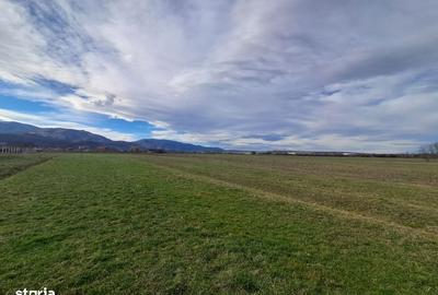 Spațiu comercial, în Central - 10