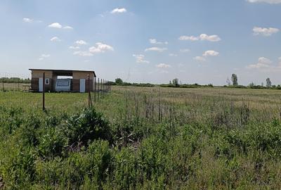 Teren Construcții intravilan de 810 mp, în Săcălaz - 2
