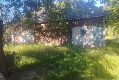 Casă cu 2 camere în Buciumi - 2