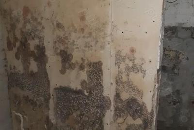 Apartament cu 3 camere decomandat în Zimnicea - 1