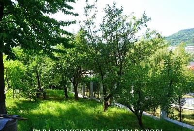 ANL- MORILOR, TEREN 635 MP - 12