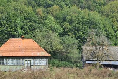 Vand proprietate pe Transapuseana - 4