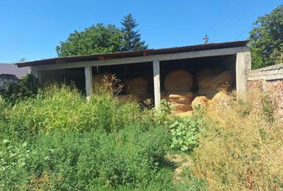 Spațiu comercial, în Beiu - 4