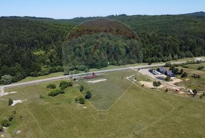 Teren agricol intravilan de 5561 mp, în Păltinoasa - 2