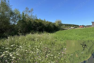Teren de 11600 mp, în Ceuaș - 5