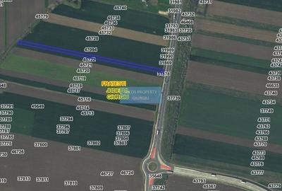 Teren extravilan 5000 mp – deschidere DN5 - 1