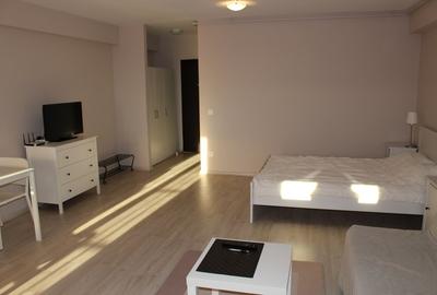 Garsoniera zona Otopeni (Aeroport) bloc NOU, Mobilata-Utilata MODERN - 8