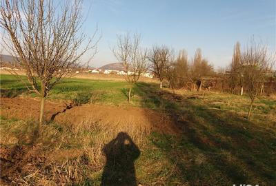 Teren de 18000 mp, în Central - 2