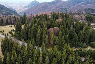 Teren cu potential:1.000 mp,proiect turistic/rezidential,Poiana Brasov - 14
