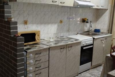 Apartament cu 2 camere semidecomandat în Teiș - 1