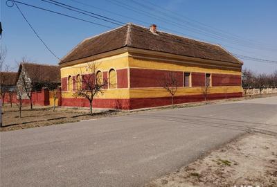 Casă cu 4 camere cu Teren 2900 Mp în Central - 7