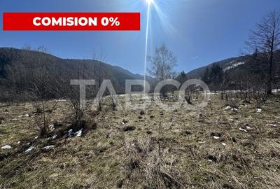 Teren extravilan 4600 mp cu acces la rau Satul de Vacanta Dejani - 1