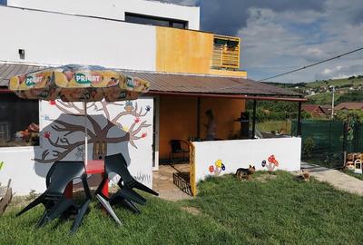 Casa individuala Salicea, 105mp utili, teren 500mp - 7