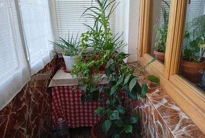 Apartament cu 5 camere decomandat în Central - 10