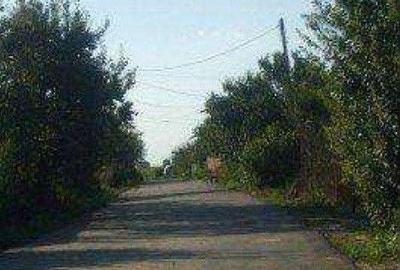 Teren de 644 mp, în Copăceni - 9