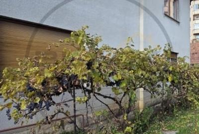 Casa Individuala cu 6 camere, suprafata utila 180 mp, Intre Lacuri - 2