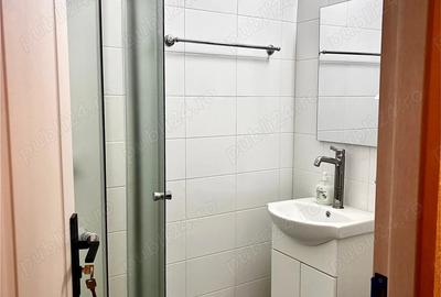 Inchiriere apartament cu o camera in zona Dambovita - 4