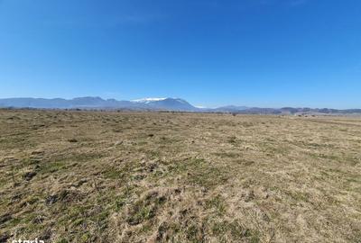 Spațiu comercial, în Central - 1