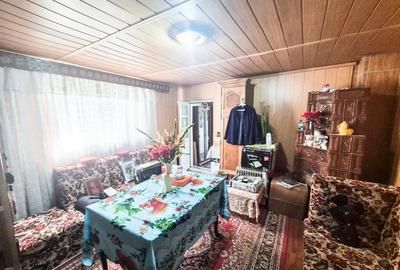 Casa Borlesti Merisani Arges - 9