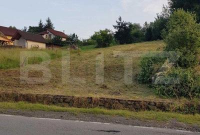 Spațiu comercial, în Central