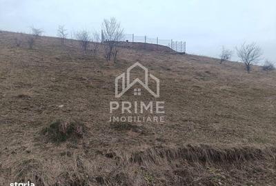 Teren de 310 mp, în Micești