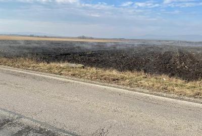 Teren în Central - 1