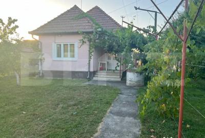 Casă cu 2 camere cu Teren 1414 Mp în Criș - 5