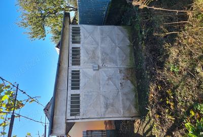 Casă cu 3 camere în Drănic - 7