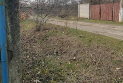 Casă cu 4 camere cu Teren 2002 Mp în Zănoaga