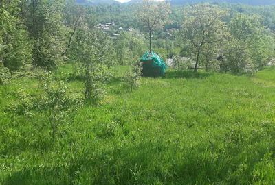 Teren de 1272 mp, în Ghioșești - 4