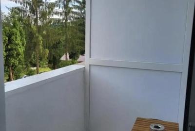 Garsonieră decomandată în Brădetu - 3