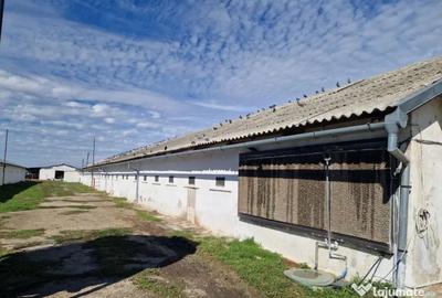 Teren de 26395 mp, în Șimnicu de Sus - 2