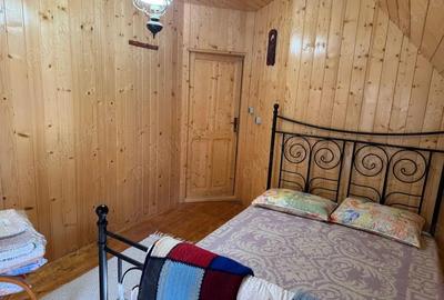 Vila de vanatoare in Santimbru-Bai - 5