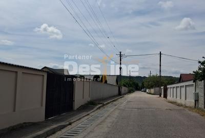 Teren Construcții extravilan de 5800 mp, în Mărăcineni - 6