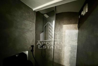 Apartament renovat cu o camera si curte, 2 bai, 50 mp, Pi... - 10