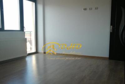 Vanzare apartament 1 camera in Lunca Cetatuii - 2