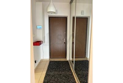 Apartament cu 3 camere decomandat, mobilat în Iancu Nicolae - 12